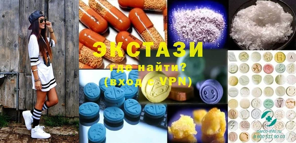 шишки Няндома
