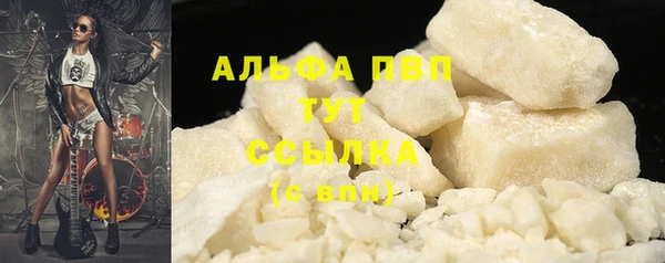 шишки Няндома