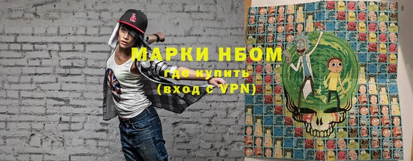 молекула духа Новодвинск