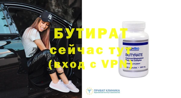 шишки Няндома