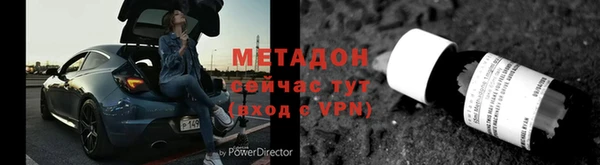 шишки Няндома