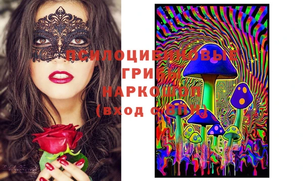 молекула духа Новодвинск