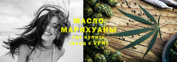 шишки Няндома