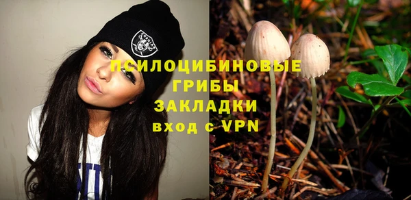 сатива Нягань