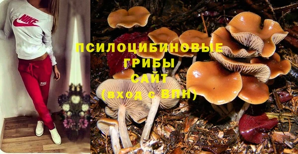 стаф Нязепетровск