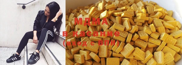 шишки Няндома