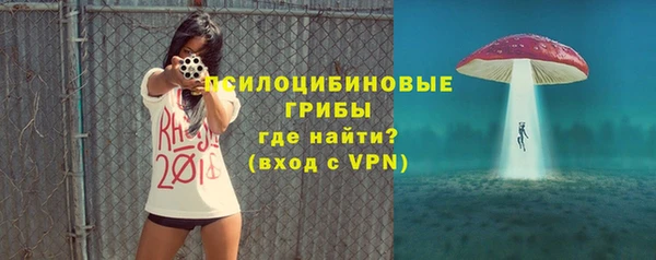 jwh Новозыбков