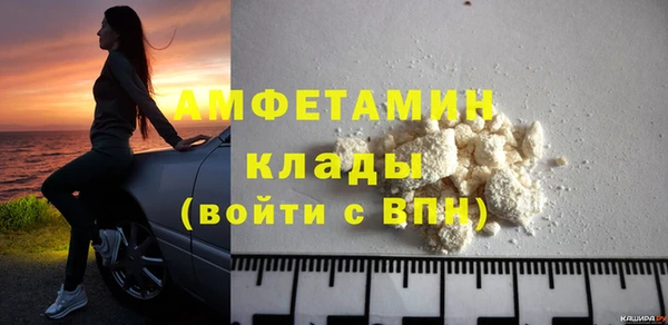 шишки Няндома