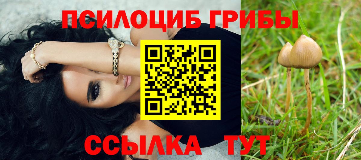Галлюциногенные грибы ЛСД  Вход с VPN  Галлюциногенные грибы мицелий  Таганрог 