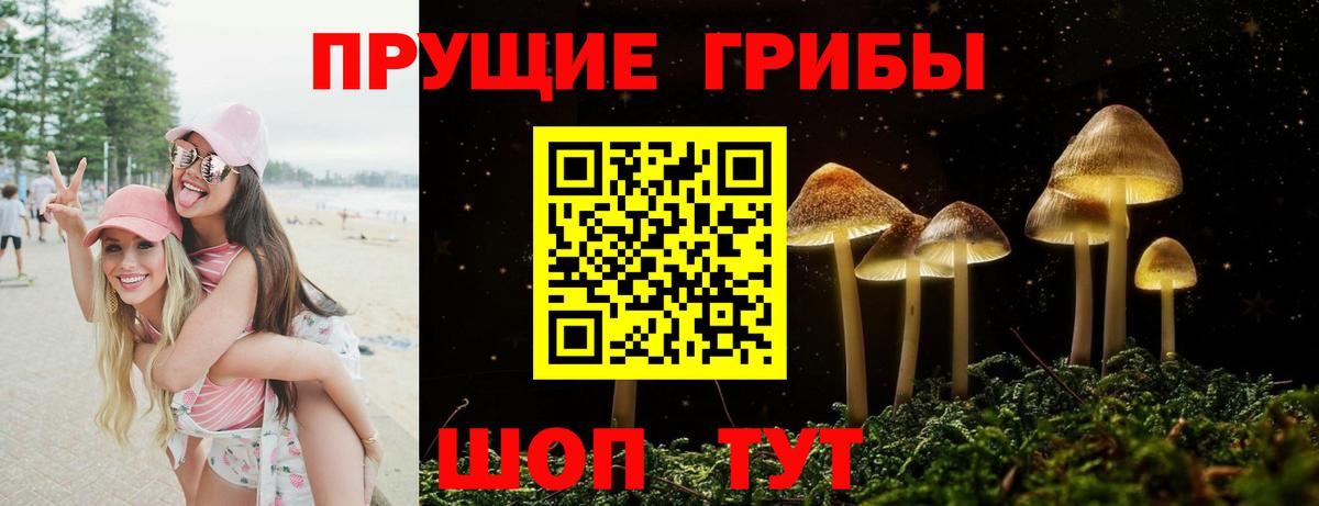 Псилоцибиновые грибы прущие грибы Таганрог