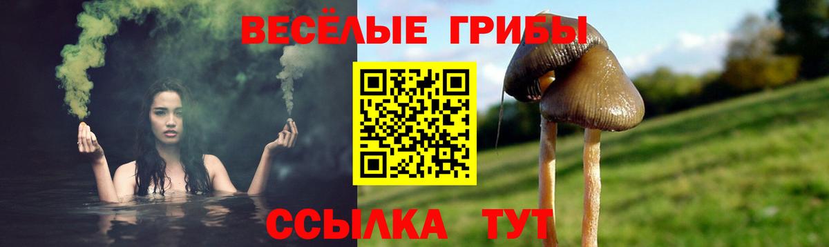 Псилоцибиновые грибы мухоморы Таганрог