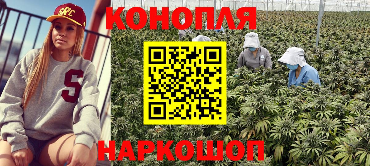 Таганрог  Бошки марихуана Bruce Banner  Марихуана марихуана  Шишки марихуана конопля  Вход с VPN 